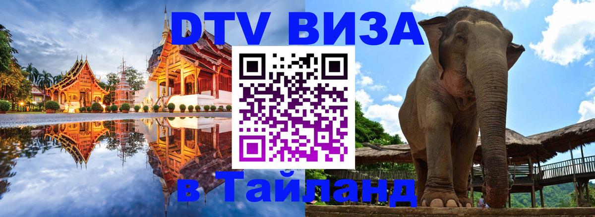 Сколько стоит DTV виза — актуальные цены, оформление даже без документов - Оренбург  21.11.2025 